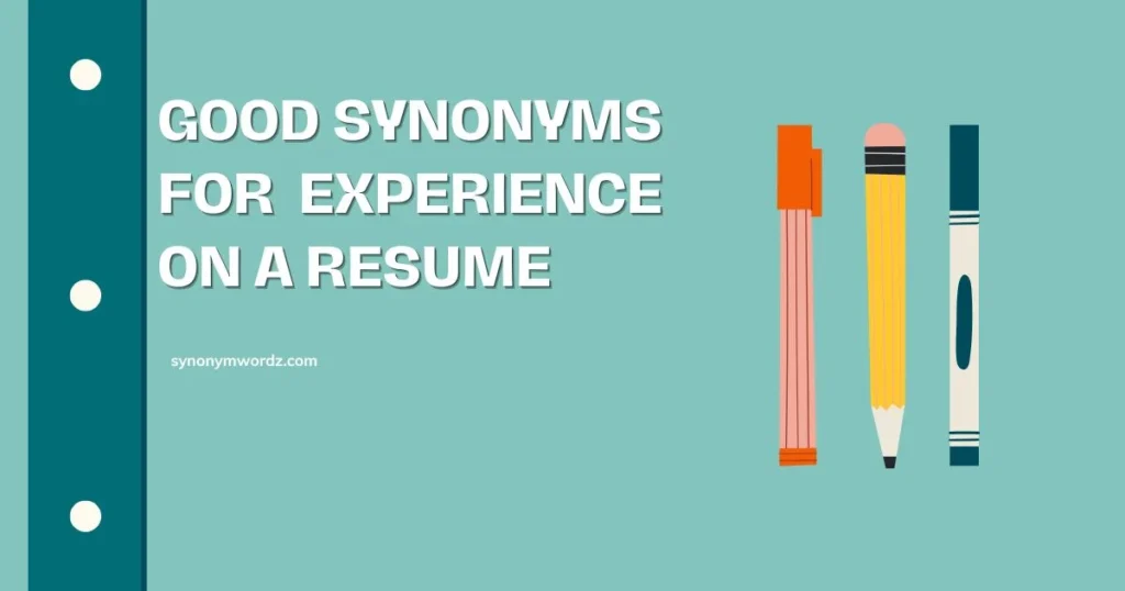 Good Synonyms for Experience on a Resume (2026 Guide)