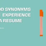 Good Synonyms for Experience on a Resume (2026 Guide)